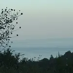 Prázdninový dům La Casetta Di Sofia *