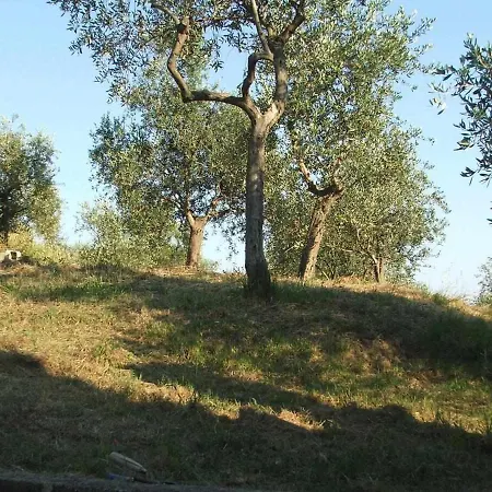 La Casetta Di Sofia * 모네글리아