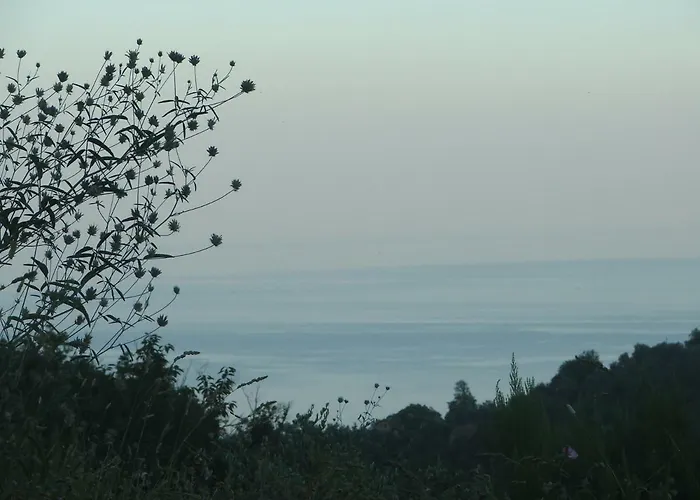 펜션 La Casetta Di Sofia *