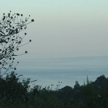 度假居 La Casetta Di Sofia *