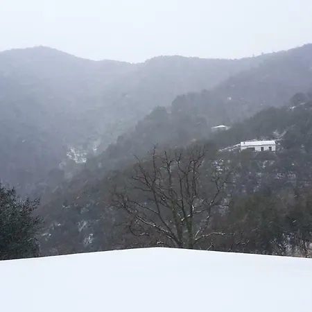 La Casetta Di Sofia מונליה